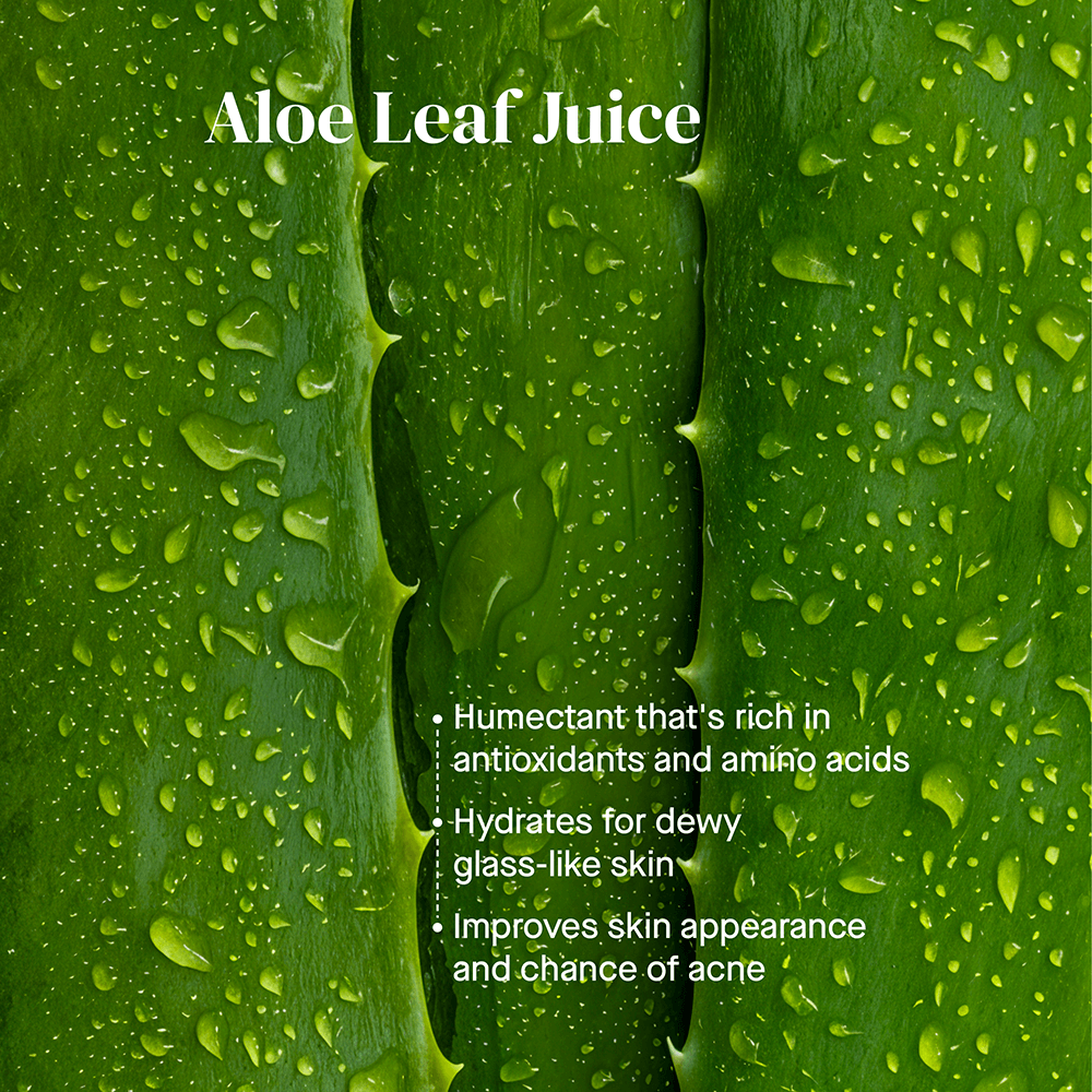 Clean & Hydrate Face