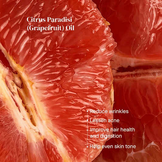 Anti-Aging Riche Crème